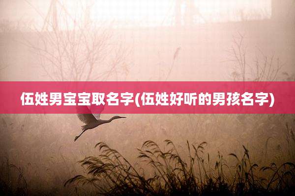 伍姓男宝宝取名字(伍姓好听的男孩名字)