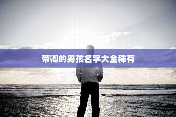 带卿的男孩名字大全稀有