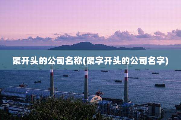聚开头的公司名称(聚字开头的公司名字)