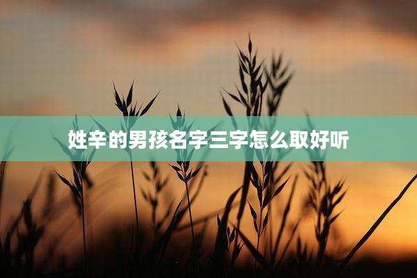 姓辛的男孩名字三字怎么取好听