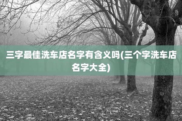 三字最佳洗车店名字有含义吗(三个字洗车店名字大全)
