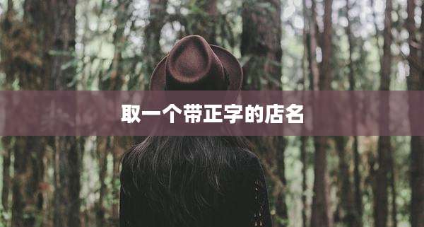 取一个带正字的店名