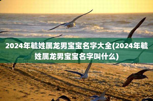 2024年毓姓属龙男宝宝名字大全(2024年毓姓属龙男宝宝名字叫什么)