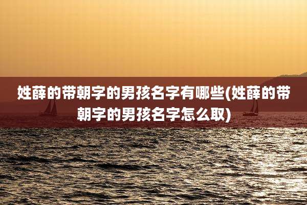 姓薛的带朝字的男孩名字有哪些(姓薛的带朝字的男孩名字怎么取)
