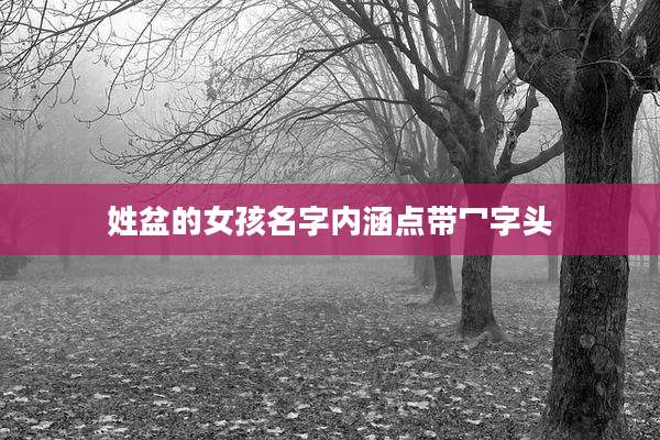 姓盆的女孩名字内涵点带冖字头
