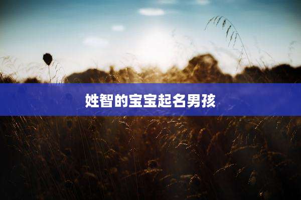 姓智的宝宝起名男孩