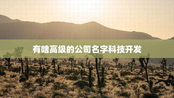 有啥高级的公司名字科技开发