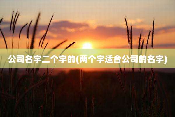 公司名字二个字的(两个字适合公司的名字)