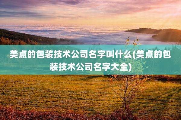 美点的包装技术公司名字叫什么(美点的包装技术公司名字大全)