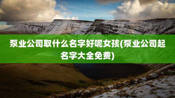 泵业公司取什么名字好呢女孩(泵业公司起名字大全免费)