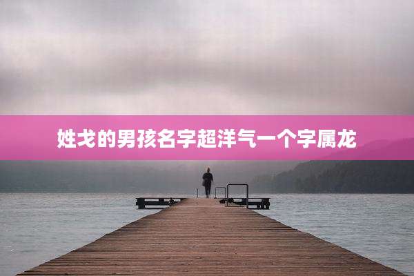 姓戈的男孩名字超洋气一个字属龙