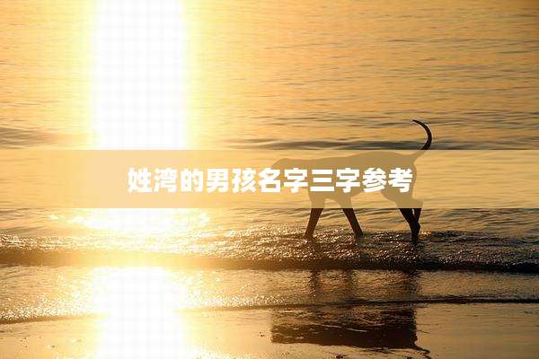 姓湾的男孩名字三字参考
