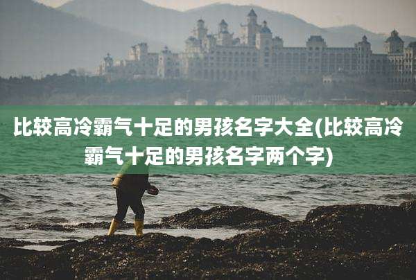 比较高冷霸气十足的男孩名字大全(比较高冷霸气十足的男孩名字两个字)