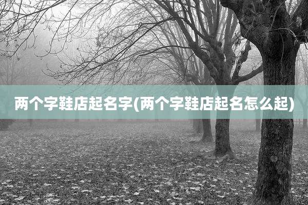 两个字鞋店起名字(两个字鞋店起名怎么起)
