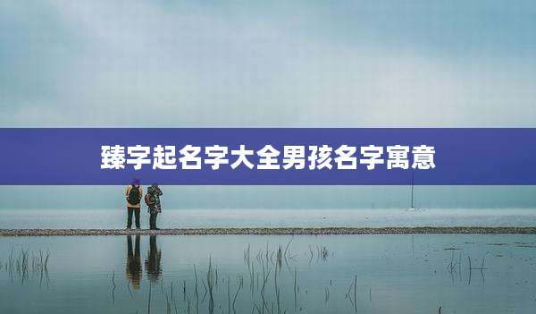 臻字起名字大全男孩名字寓意