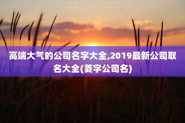 高端大气的公司名字大全,2019最新公司取名大全(菱字公司名)
