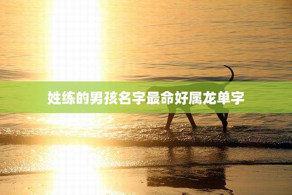 姓练的男孩名字最命好属龙单字