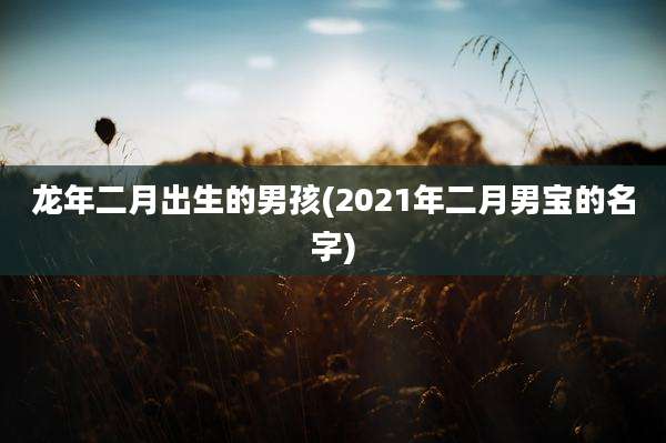 龙年二月出生的男孩(2021年二月男宝的名字)