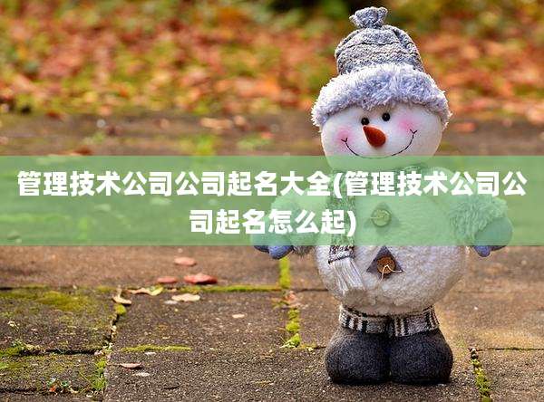 管理技术公司公司起名大全(管理技术公司公司起名怎么起)