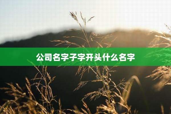 公司名字子字开头什么名字