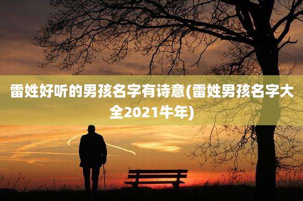 雷姓好听的男孩名字有诗意(雷姓男孩名字大全2021牛年)