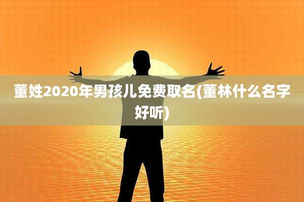 董姓2020年男孩儿免费取名(董林什么名字好听)