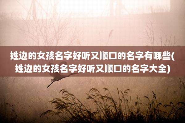 姓边的女孩名字好听又顺口的名字有哪些(姓边的女孩名字好听又顺口的名字大全)