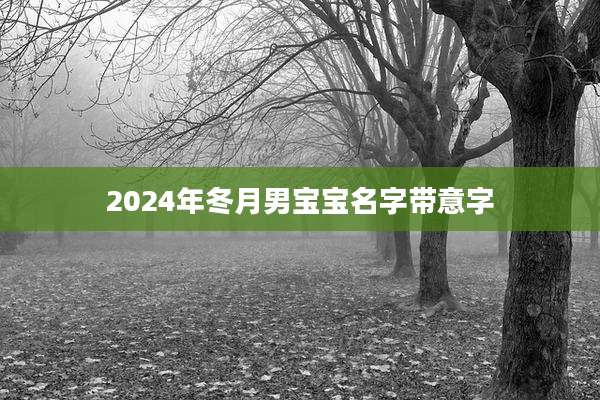 2024年冬月男宝宝名字带意字