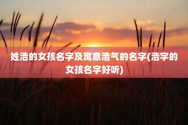 姓浩的女孩名字及寓意浩气的名字(浩字的女孩名字好听)