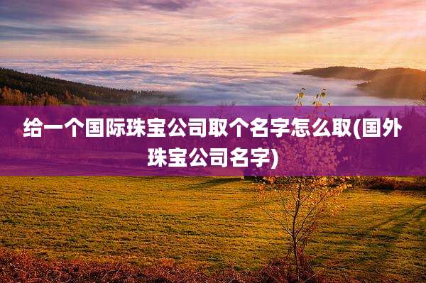 给一个国际珠宝公司取个名字怎么取(国外珠宝公司名字)