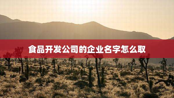 食品开发公司的企业名字怎么取