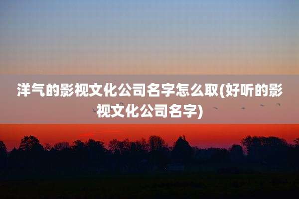 洋气的影视文化公司名字怎么取(好听的影视文化公司名字)