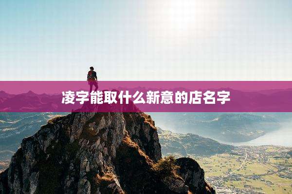 凌字能取什么新意的店名字