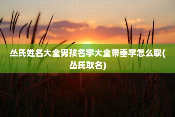 丛氏姓名大全男孩名字大全带垂字怎么取(丛氏取名)