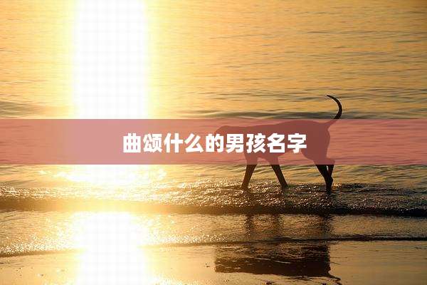 曲颂什么的男孩名字