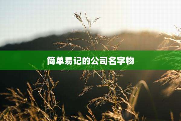 简单易记的公司名字物