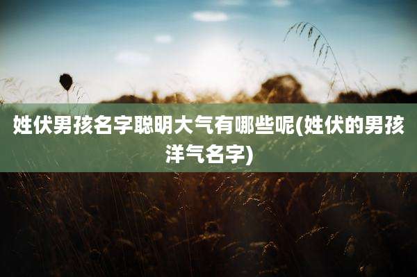 姓伏男孩名字聪明大气有哪些呢(姓伏的男孩洋气名字)