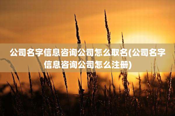 公司名字信息咨询公司怎么取名(公司名字信息咨询公司怎么注册)