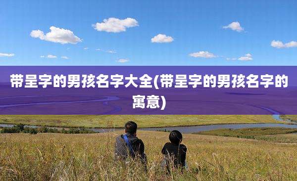 带呈字的男孩名字大全(带呈字的男孩名字的寓意)