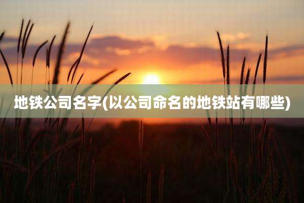 地铁公司名字(以公司命名的地铁站有哪些)