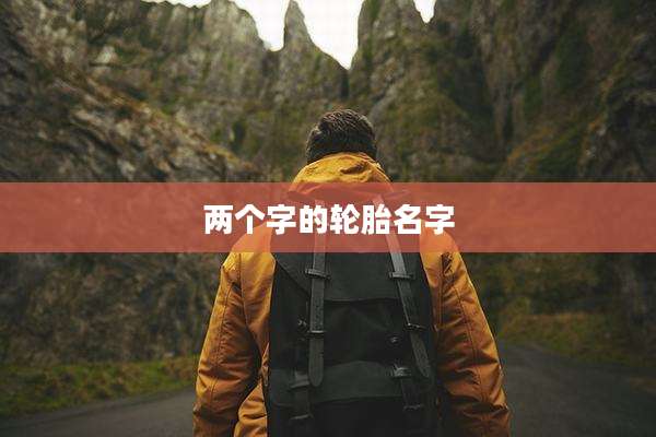 两个字的轮胎名字