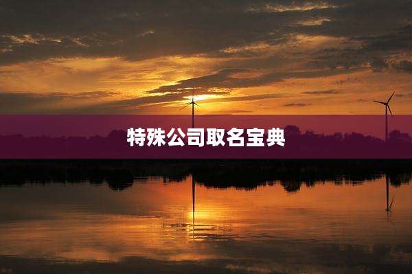 特殊公司取名宝典