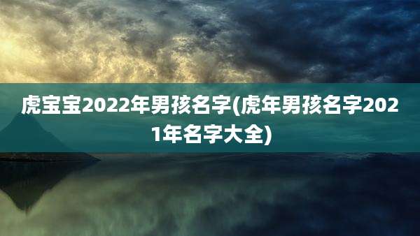 虎宝宝2022年男孩名字(虎年男孩名字2021年名字大全)