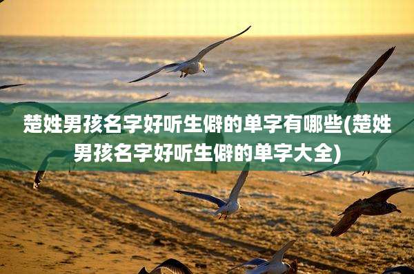 楚姓男孩名字好听生僻的单字有哪些(楚姓男孩名字好听生僻的单字大全)