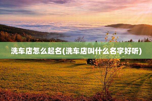 洗车店怎么起名(洗车店叫什么名字好听)