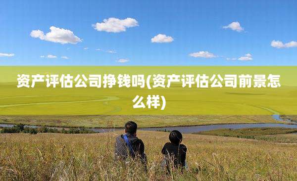 资产评估公司挣钱吗(资产评估公司前景怎么样)