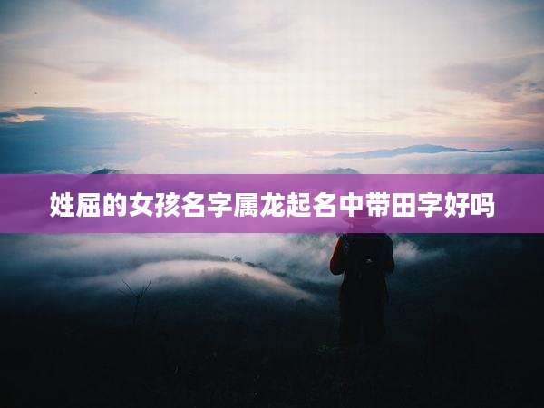 姓屈的女孩名字属龙起名中带田字好吗
