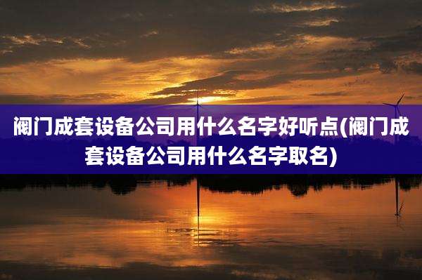 阀门成套设备公司用什么名字好听点(阀门成套设备公司用什么名字取名)