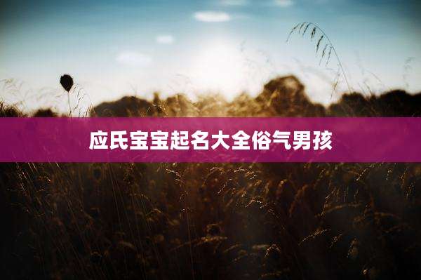 应氏宝宝起名大全俗气男孩