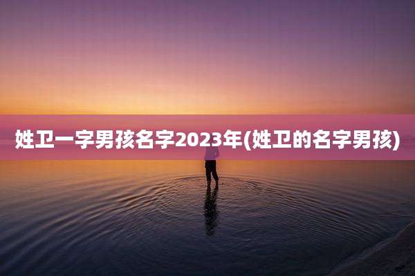 姓卫一字男孩名字2023年(姓卫的名字男孩)